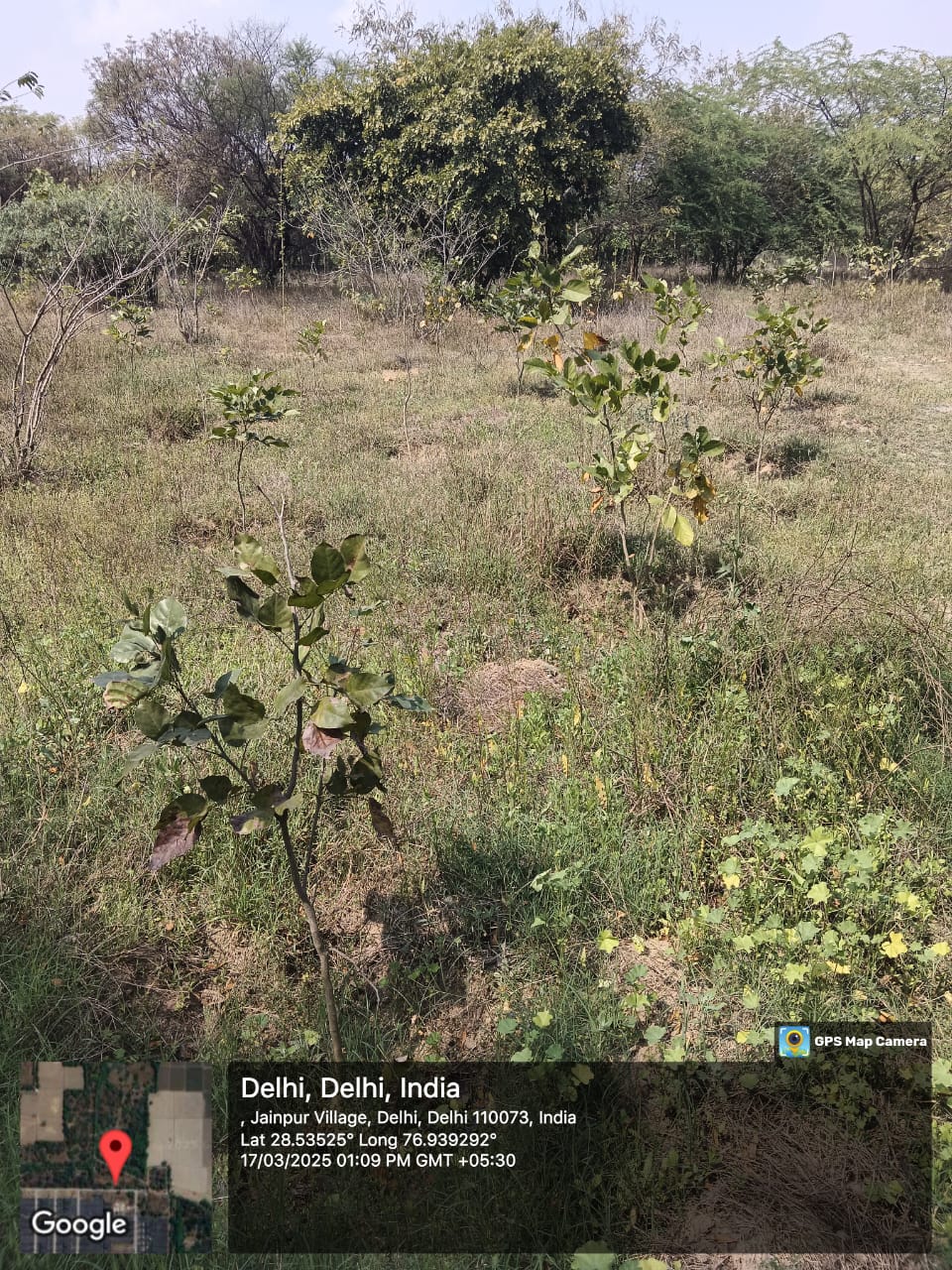 Assisted Natural Regeneration Artificial Regeneration
